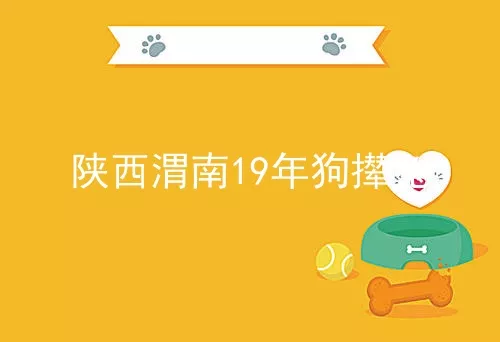 陕西渭南19年狗撵兔