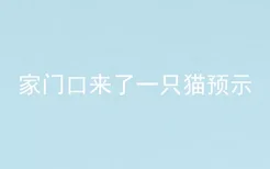 家门口来了一只猫预示