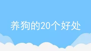 养狗的20个好处