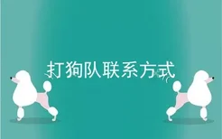 打狗队联系方式