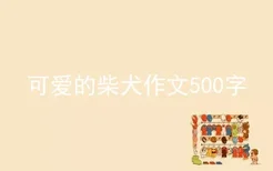 可爱的柴犬作文500字