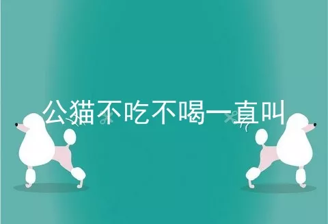 公猫不吃不喝一直叫