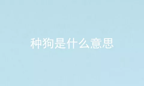 种狗是什么意思