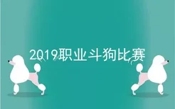 2019职业斗狗比赛
