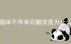 猫咪不停来回翻滚是为什么