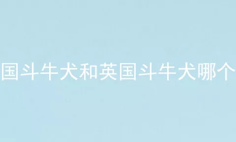 法国斗牛犬和英国斗牛犬哪个好