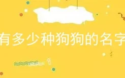 有多少种狗狗的名字