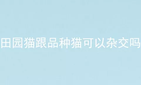 田园猫跟品种猫可以杂交吗