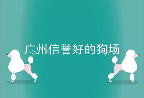 广州信誉好的狗场