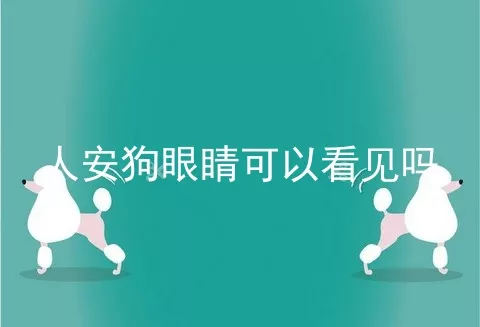 人安狗眼睛可以看见吗