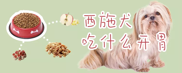 西施犬吃什么开胃