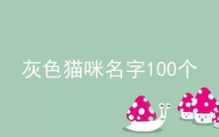 灰色猫咪名字100个