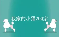 我家的小猫200字