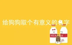 给狗狗取个有意义的名字