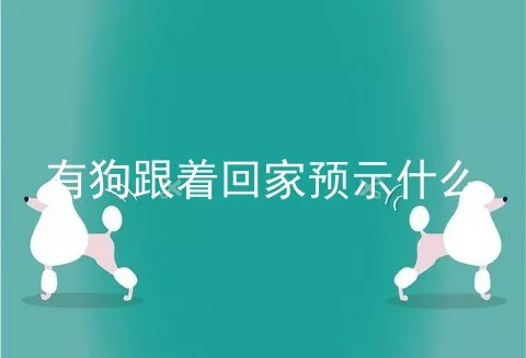 有狗跟着回家预示什么