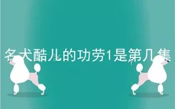 名犬酷儿的功劳1是第几集