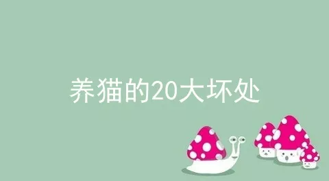 养猫的20大坏处