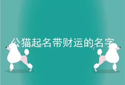 公猫起名带财运的名字