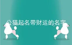 公猫起名带财运的名字