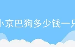 小京巴狗多少钱一只