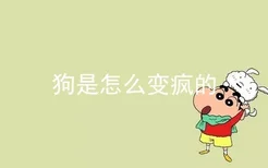 狗是怎么变疯的