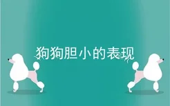 狗狗胆小的表现