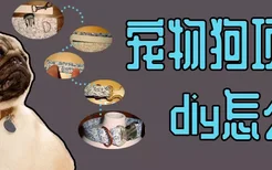 宠物狗项圈diy怎么做