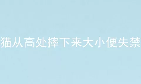 猫从高处摔下来大小便失禁