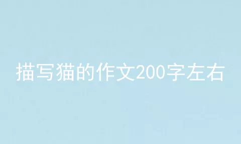 描写猫的作文200字左右