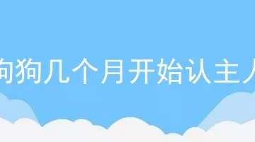 狗狗几个月开始认主人