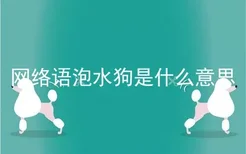 网络语泡水狗是什么意思