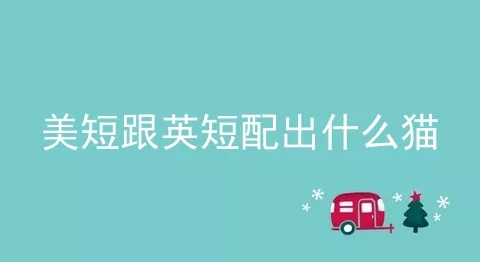 美短跟英短配出什么猫