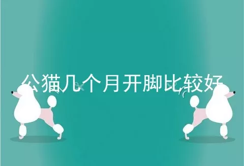 公猫几个月开脚比较好