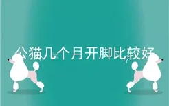 公猫几个月开脚比较好