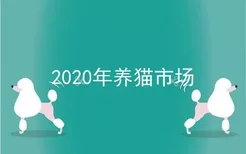 2020年养猫市场