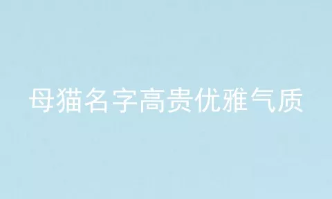 母猫名字高贵优雅气质