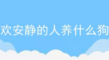 喜欢安静的人养什么狗好