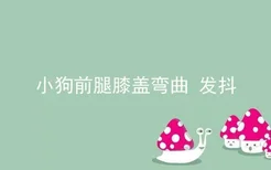 小狗前腿膝盖弯曲发抖