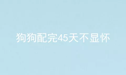 狗狗配完45天不显怀