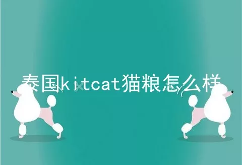 泰国kitcat猫粮怎么样