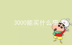 3000能买什么猫