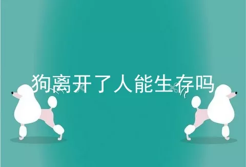 狗离开了人能生存吗