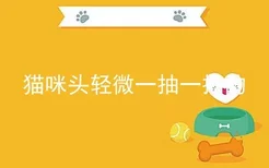 猫咪头轻微一抽一抽的