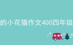 可爱的小花猫作文400四年级作文