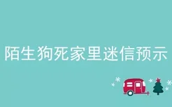 陌生狗死家里迷信预示