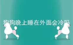 狗狗晚上睡在外面会冷吗