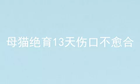 母猫绝育13天伤口不愈合