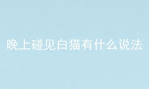 晚上碰见白猫有什么说法