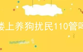 楼上养狗扰民110管吗