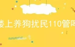 楼上养狗扰民110管吗